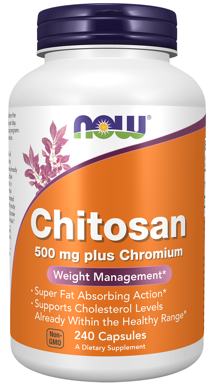 Chitosan, 500mg Plus Chromium - 240 vcaps