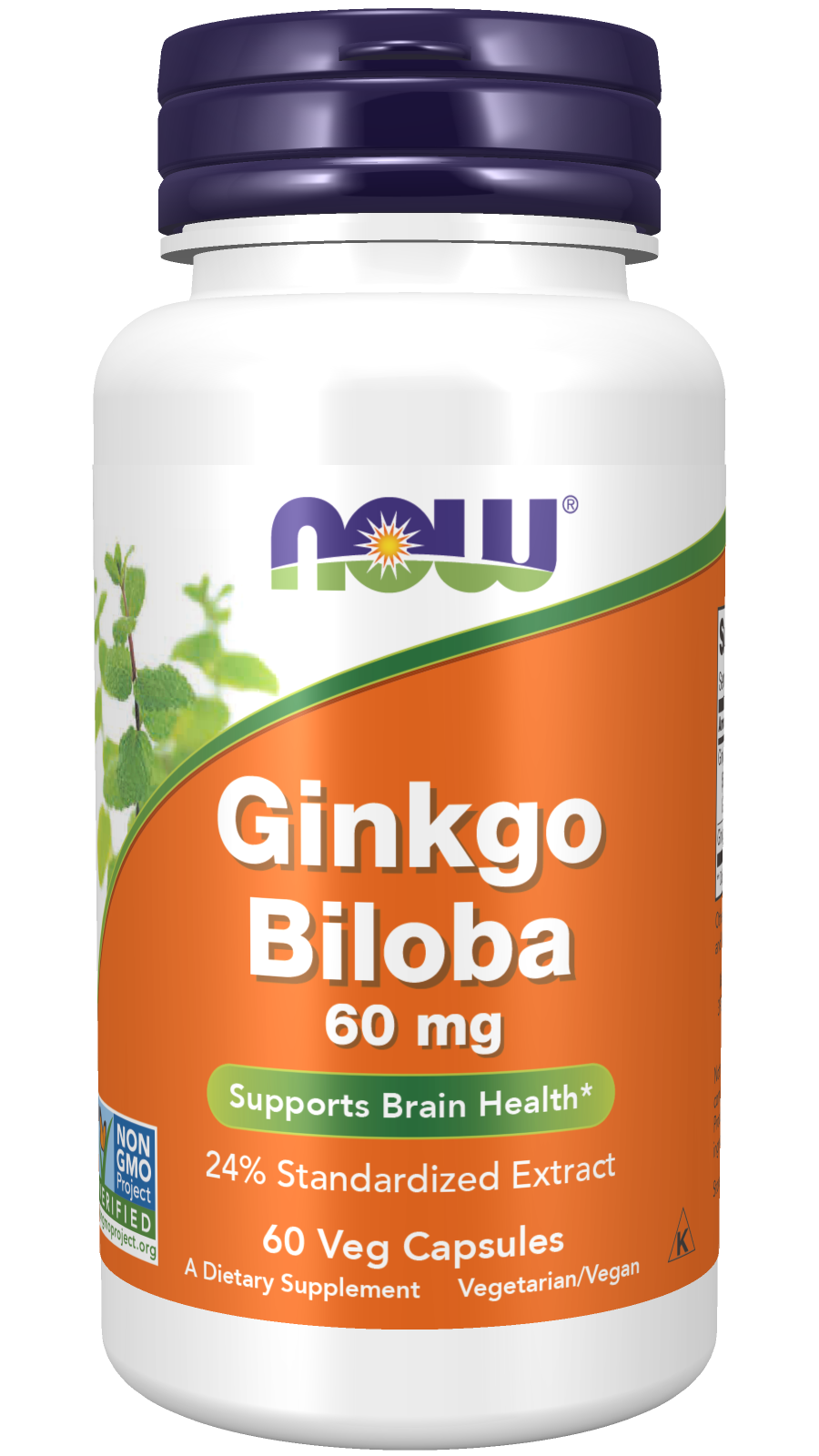 Ginkgo Biloba, 60mg - 120 vcaps