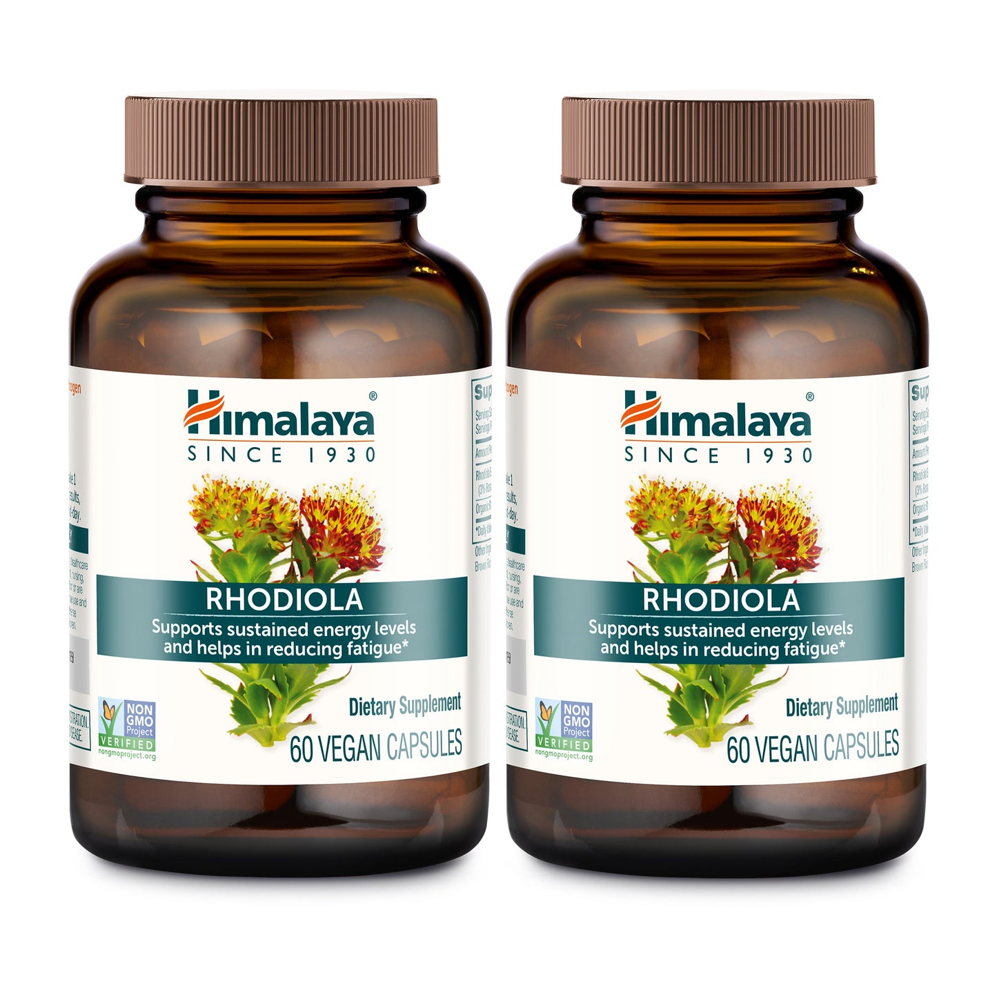 Rhodiola