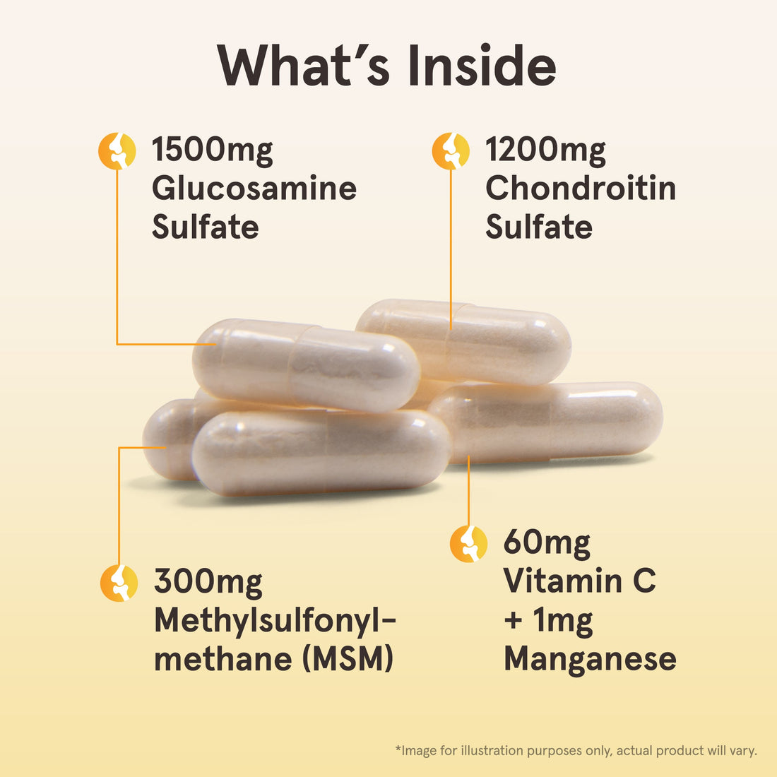 Jarrow Formulas Glucosamine + Chondroitin + MSM - 120 caps - image 3
