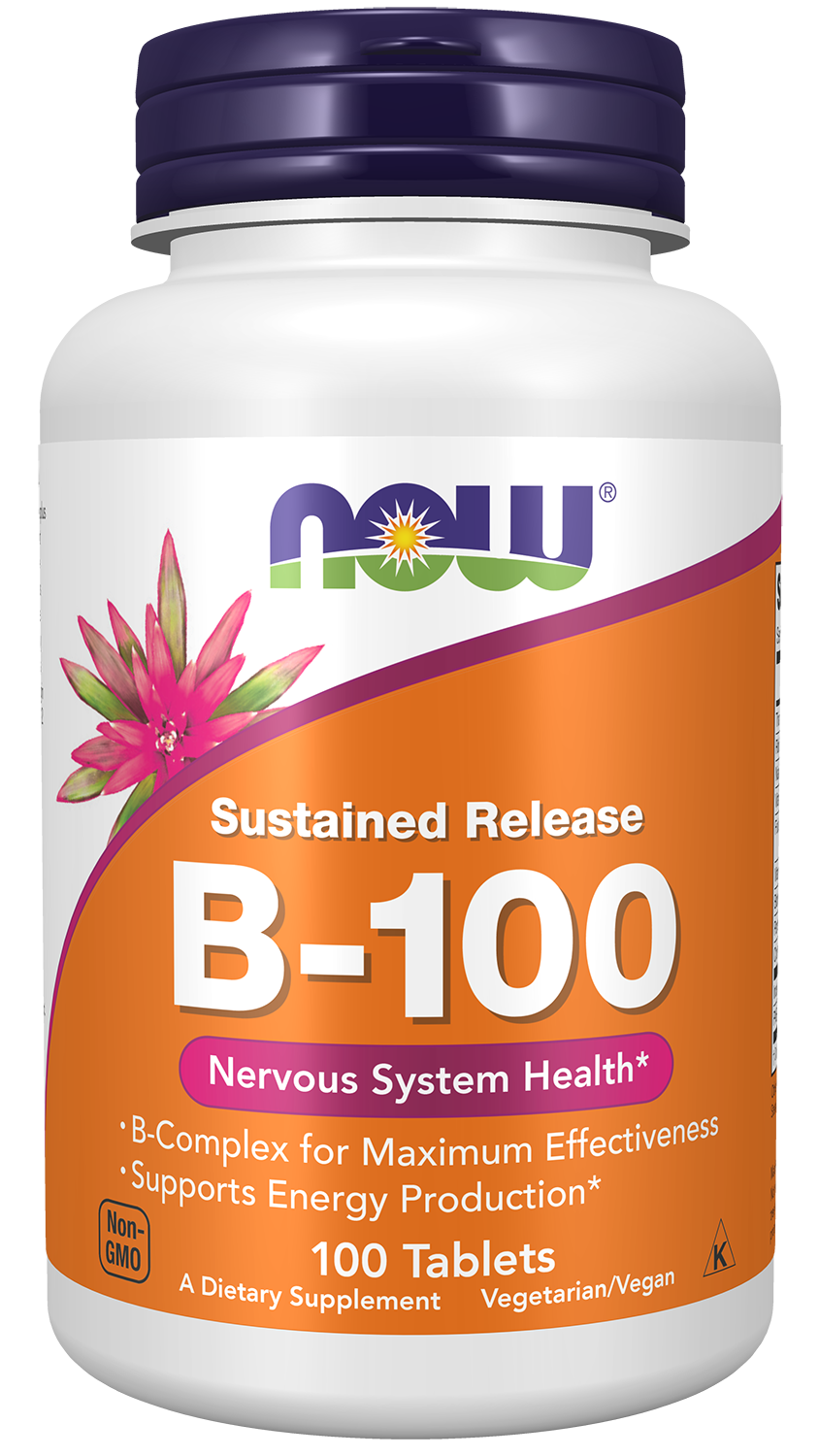 Vitamin B-100 Sustained Release - 100 tabs
