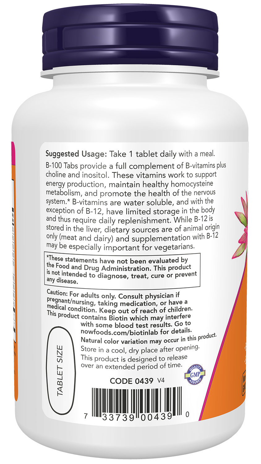 Vitamin B-100 Sustained Release - 100 tabs
