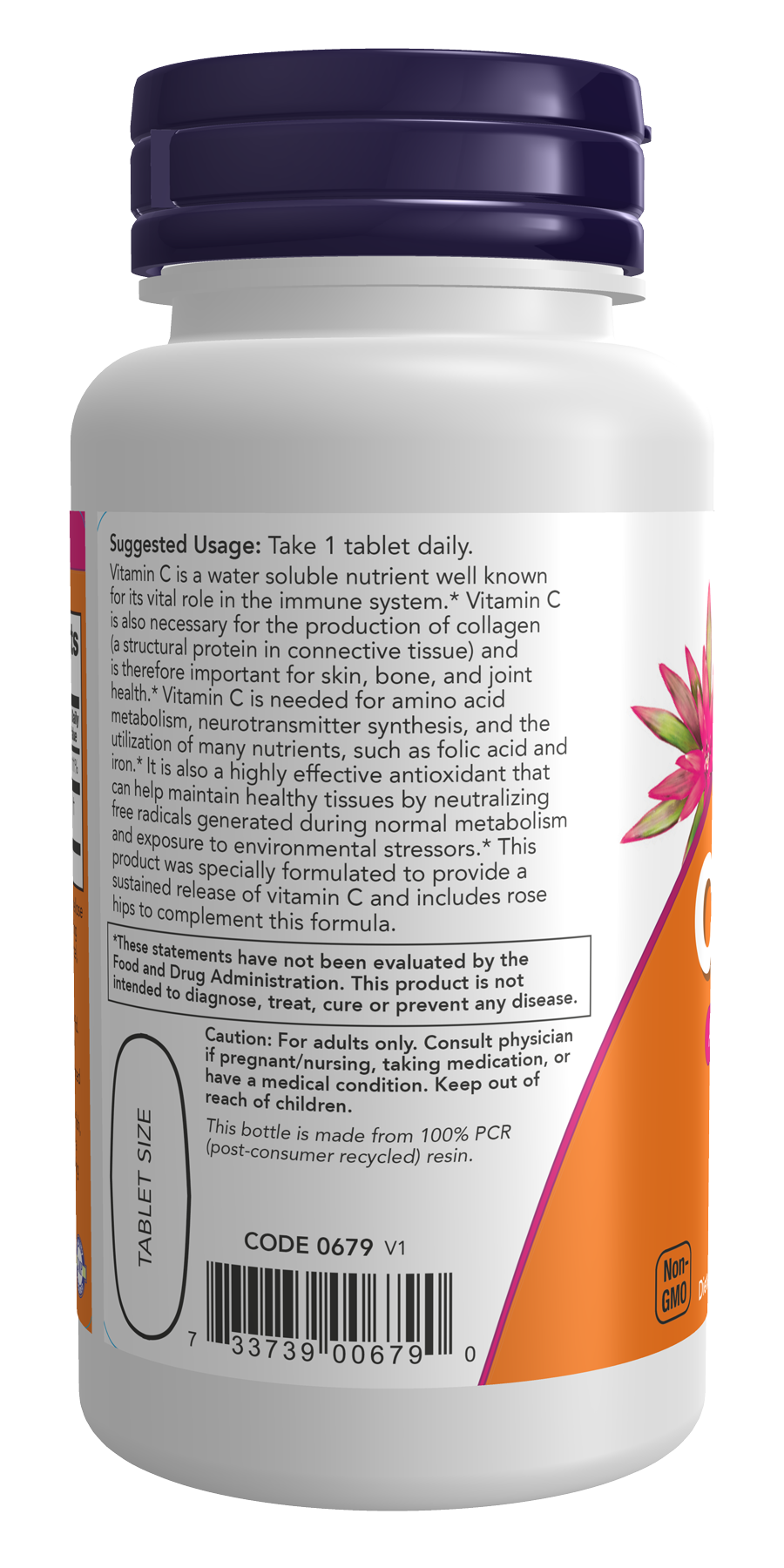Vitamin C-1000 with Rose Hips - Sustained Release - 100 tabs