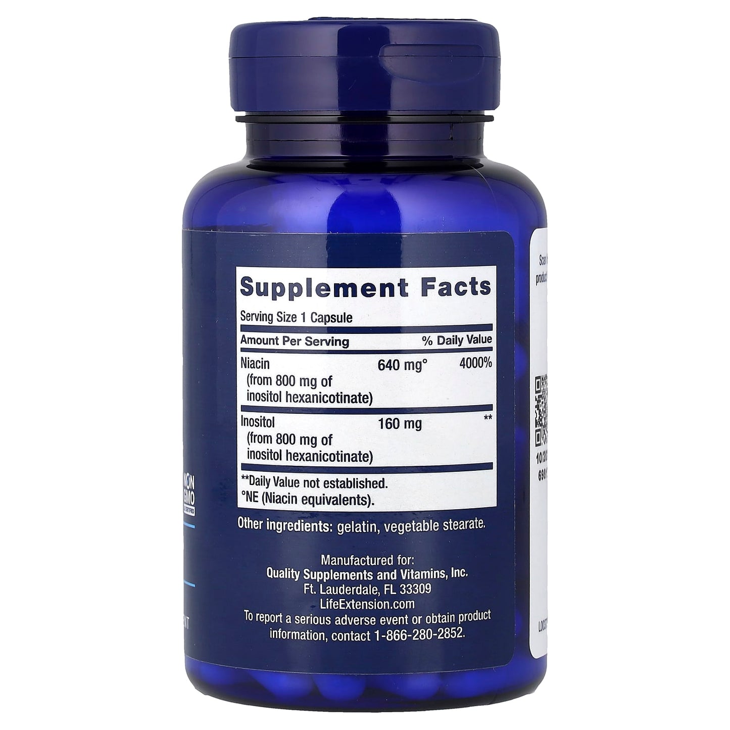 No Flush Niacin - 100 caps