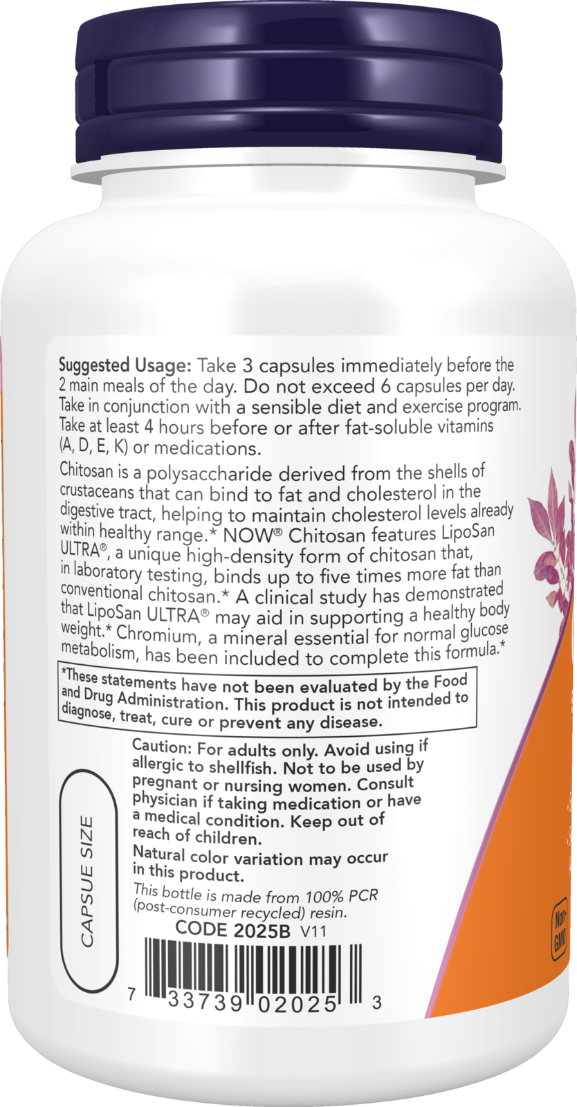 Chitosan, 500mg Plus Chromium - 240 vcaps