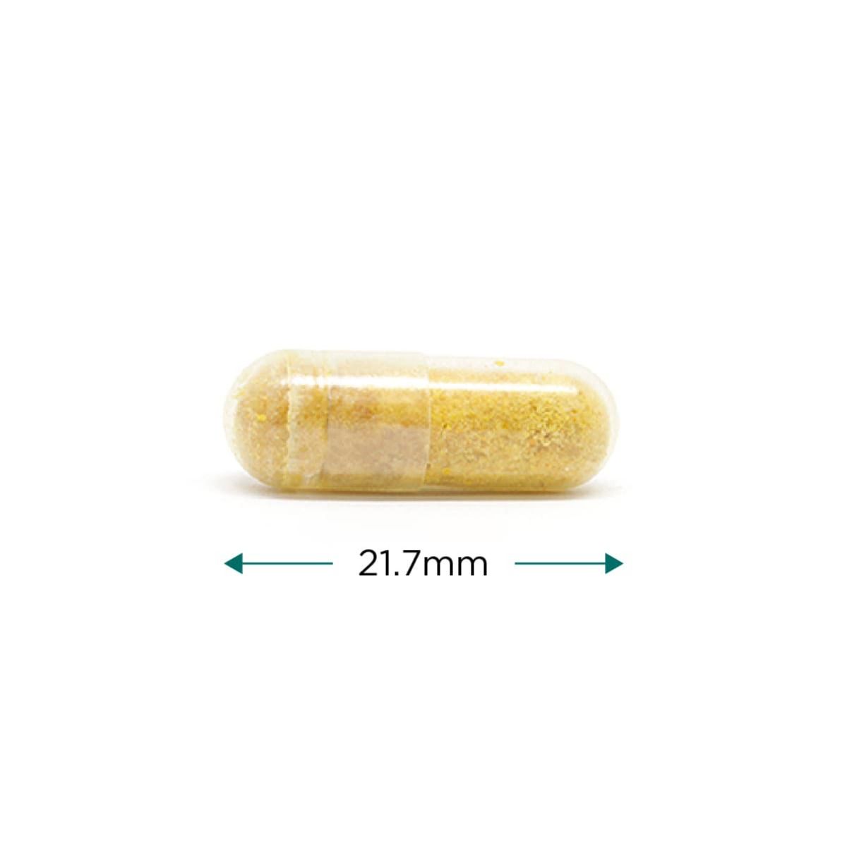 Cyto-Renew - 60 vcaps