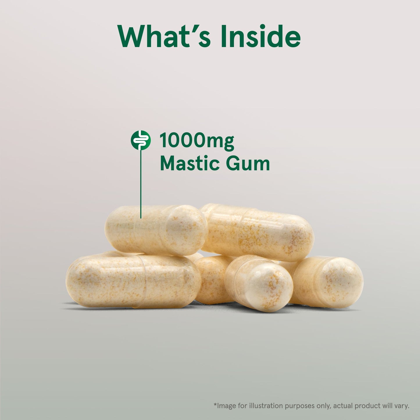 Mastic Gum - 60 vcaps