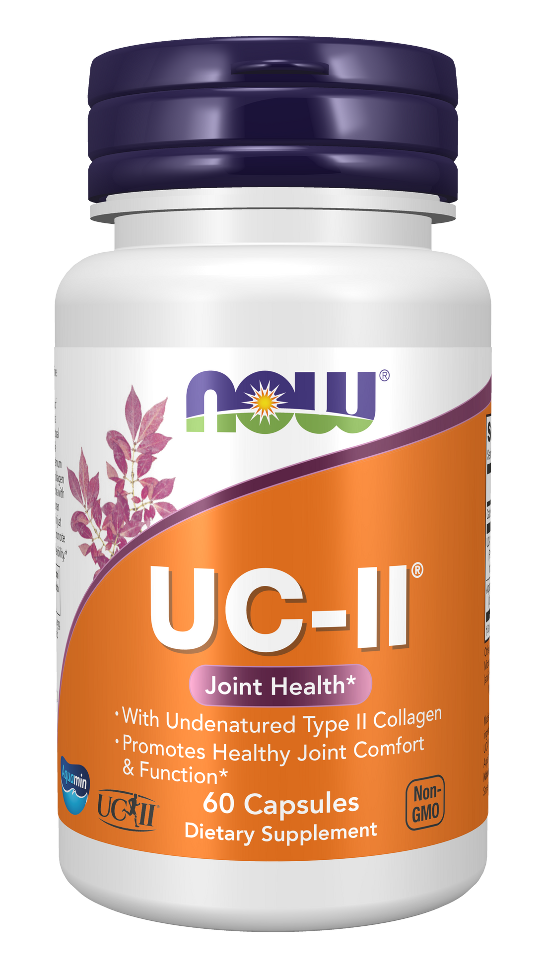 NOW Foods UC-II Undenatured Type II Collagen - 60 caps - image 2