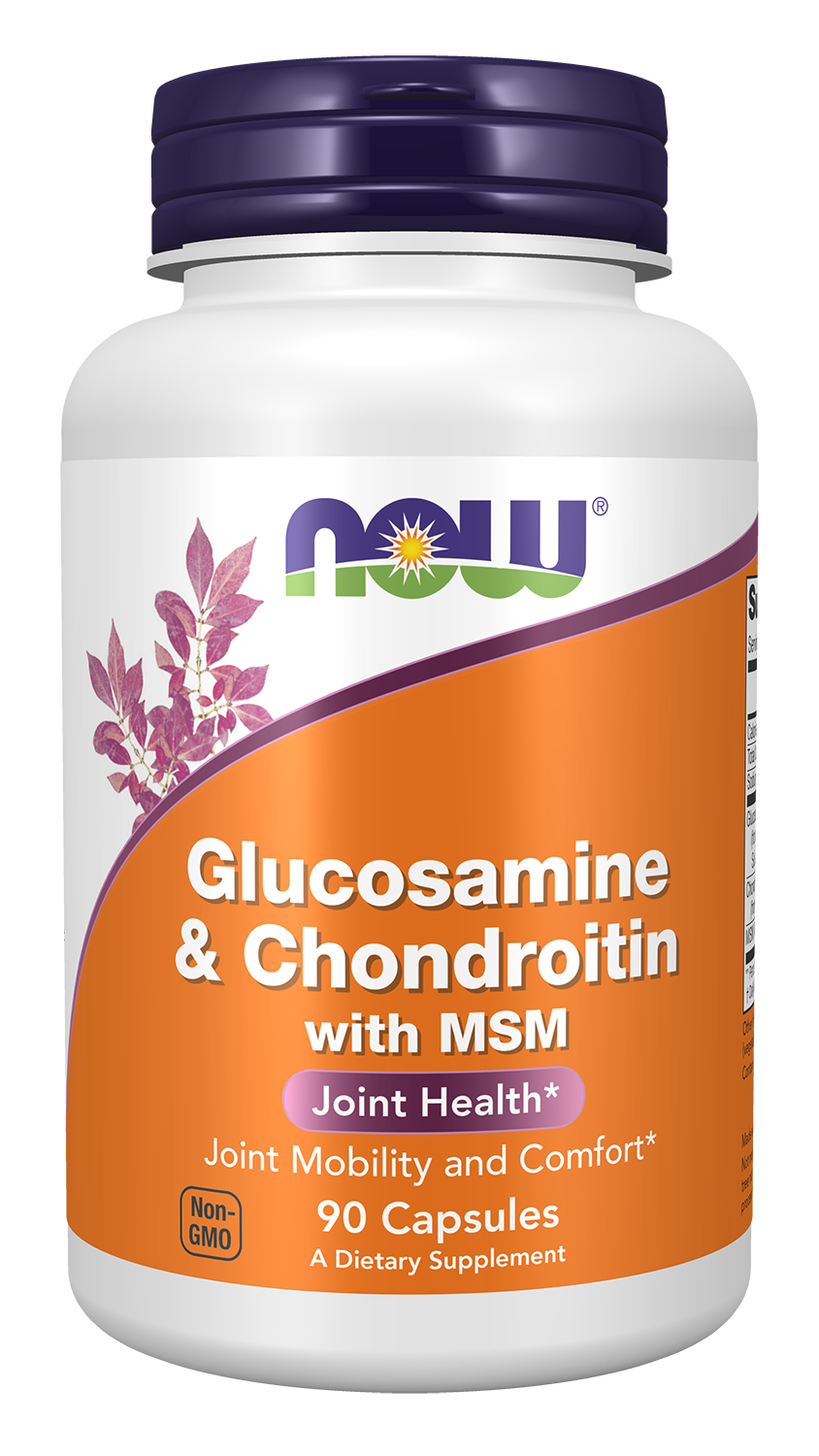 Glucosamine & Chondroitin with MSM - 180 caps