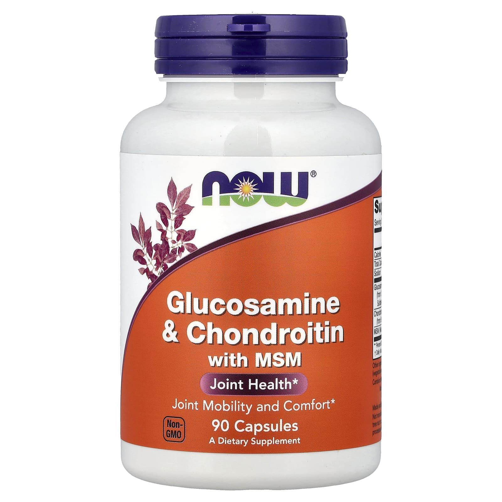 Glucosamine & Chondroitin with MSM - 180 caps