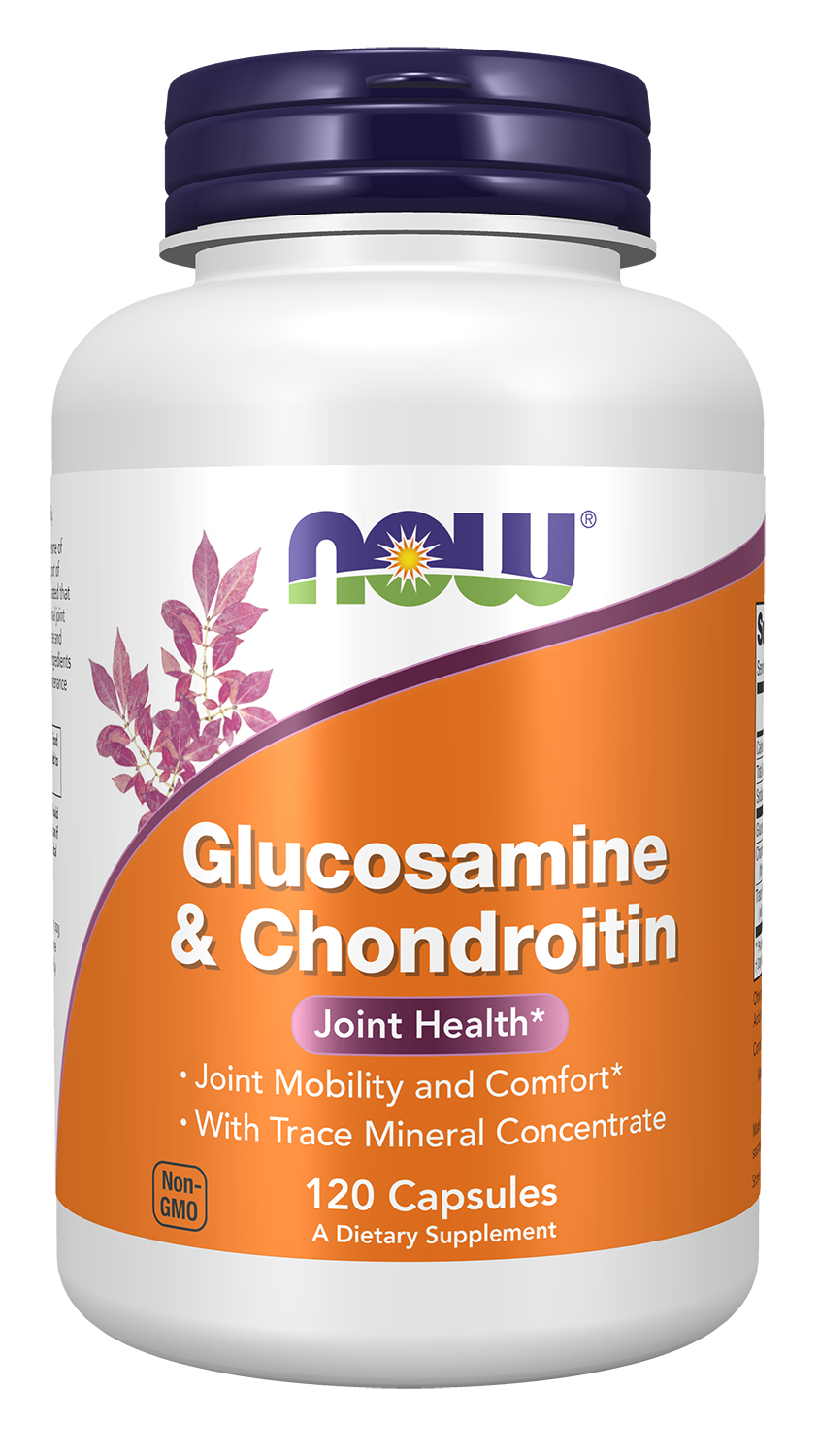Glucosamine & Chondroitin with Trace Mineral Concentrate - 120 caps