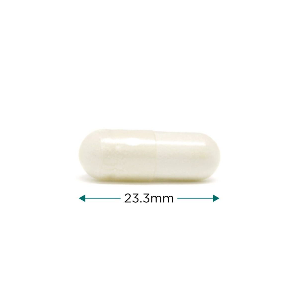 Menopause Support - 60 vcaps