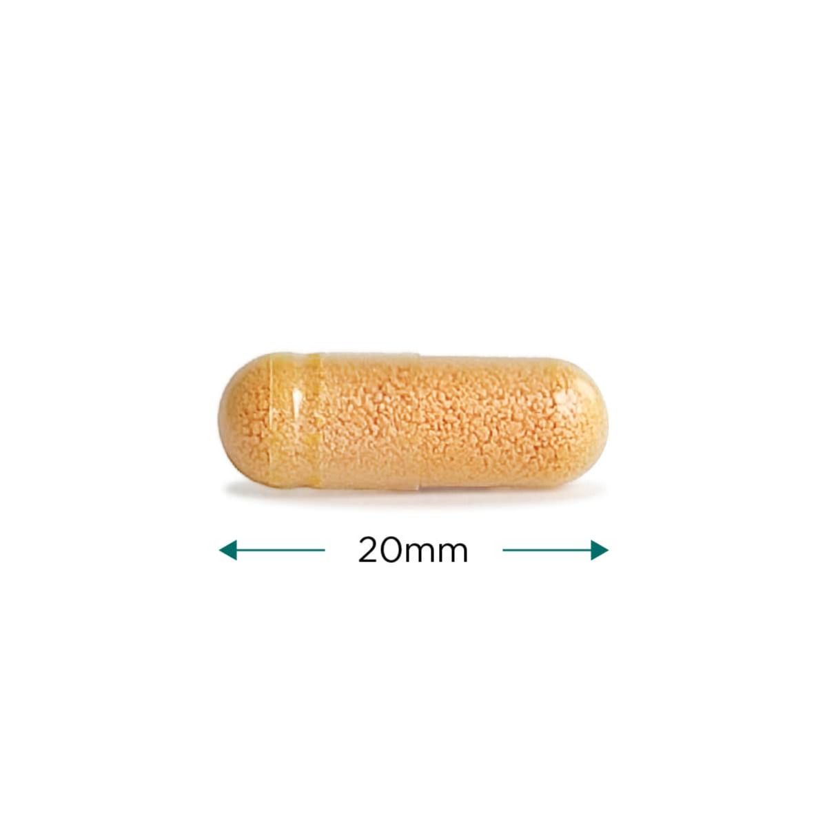 Cell-Active Curcumin Plus - 60 vcaps