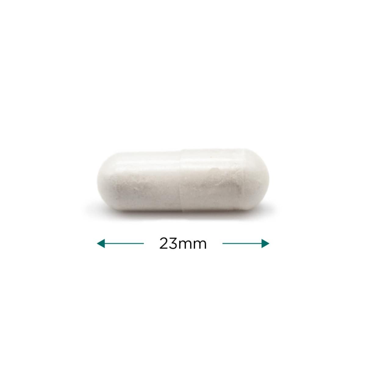 Bone Support - 60 vcaps