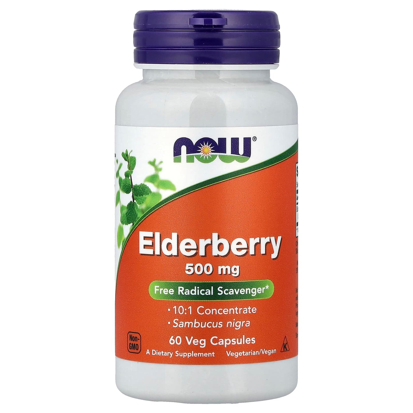Elderberry, 500mg - 120 vcaps