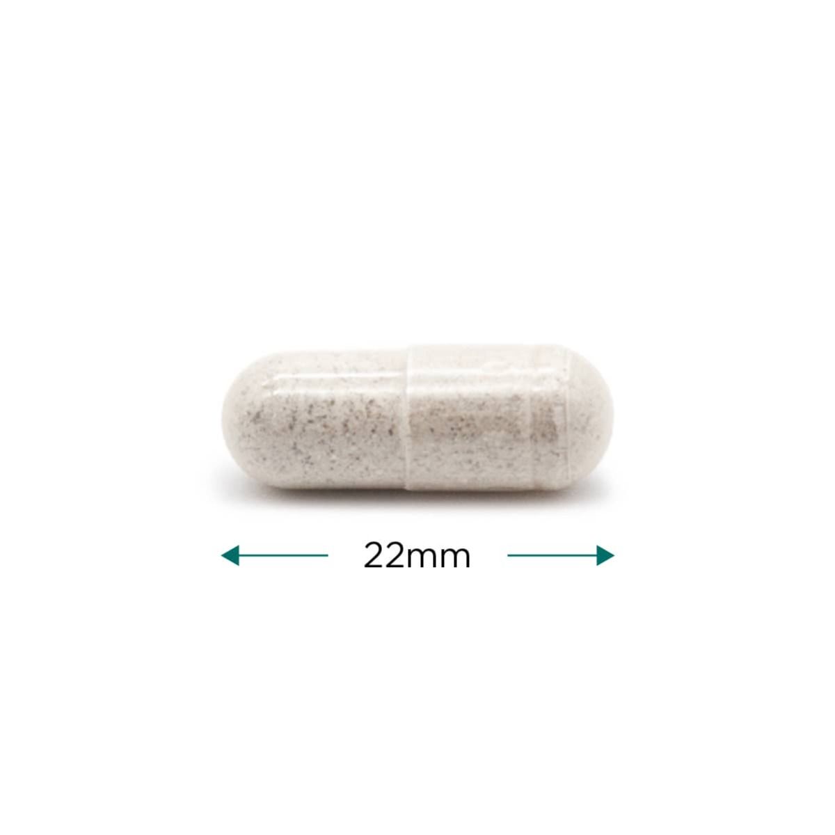 Thyroid Support - 60 vcaps