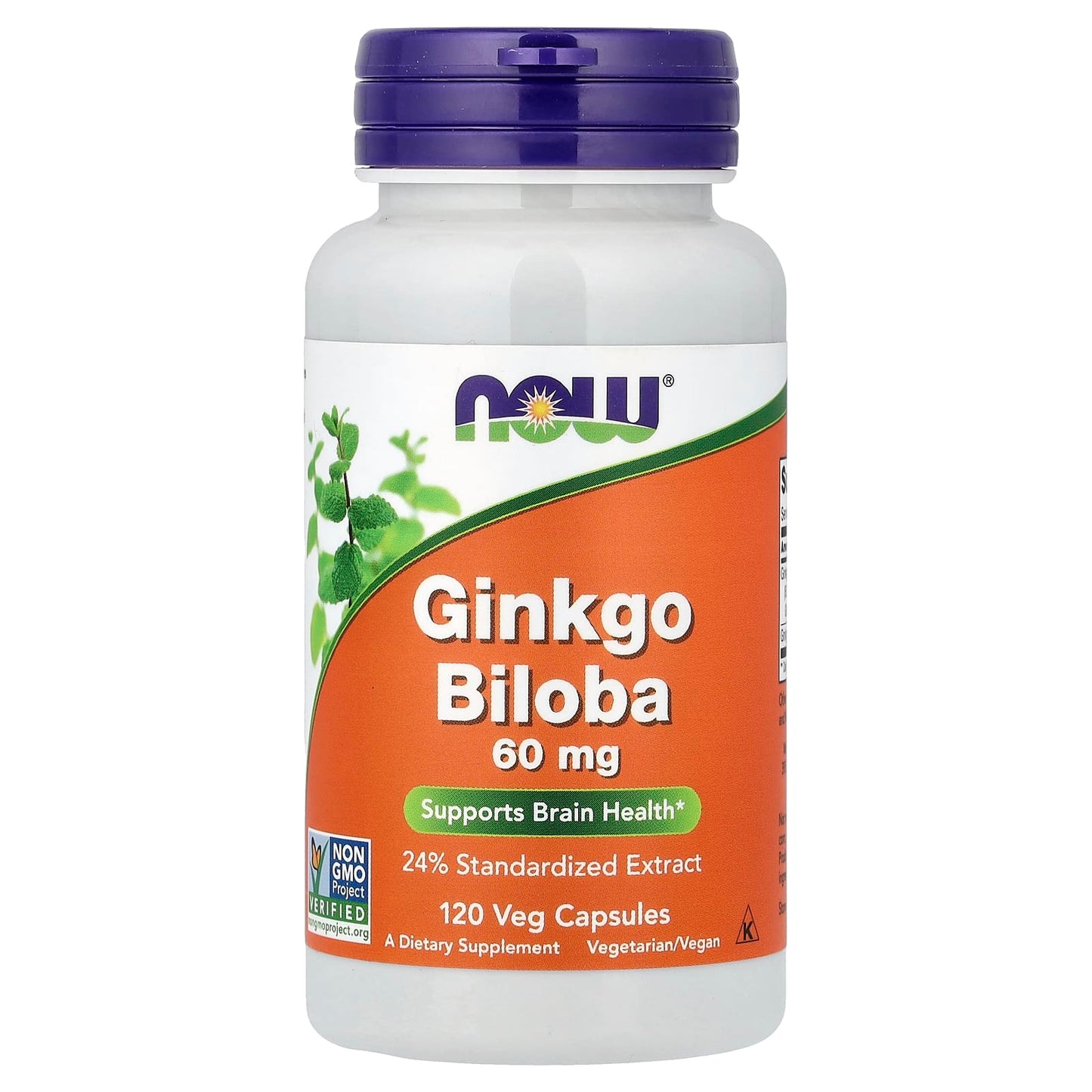 Ginkgo Biloba, 60mg - 120 vcaps