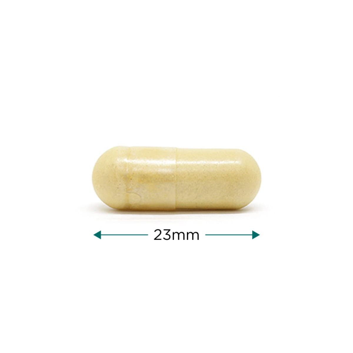 Vegan Collagen - 120 vcaps