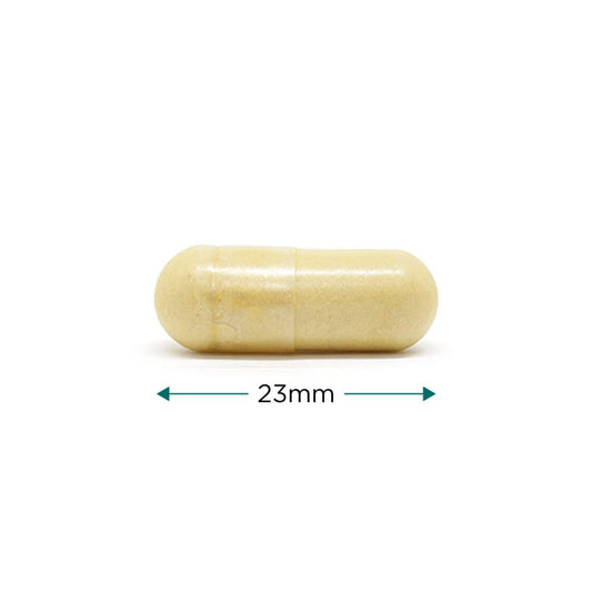 Vegan Collagen - 120 vcaps