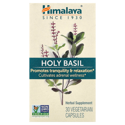 Holy Basil