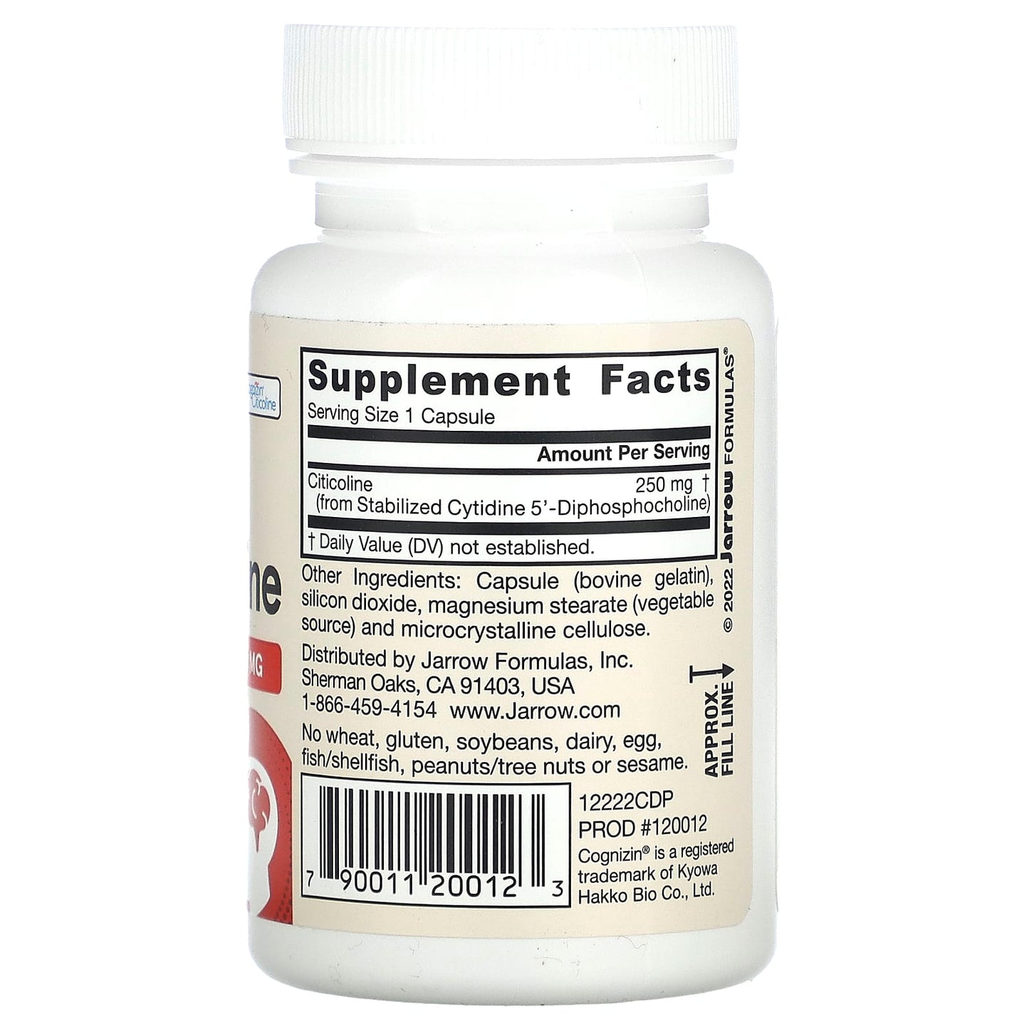 Citicoline CDP Choline, 250mg - 60 caps