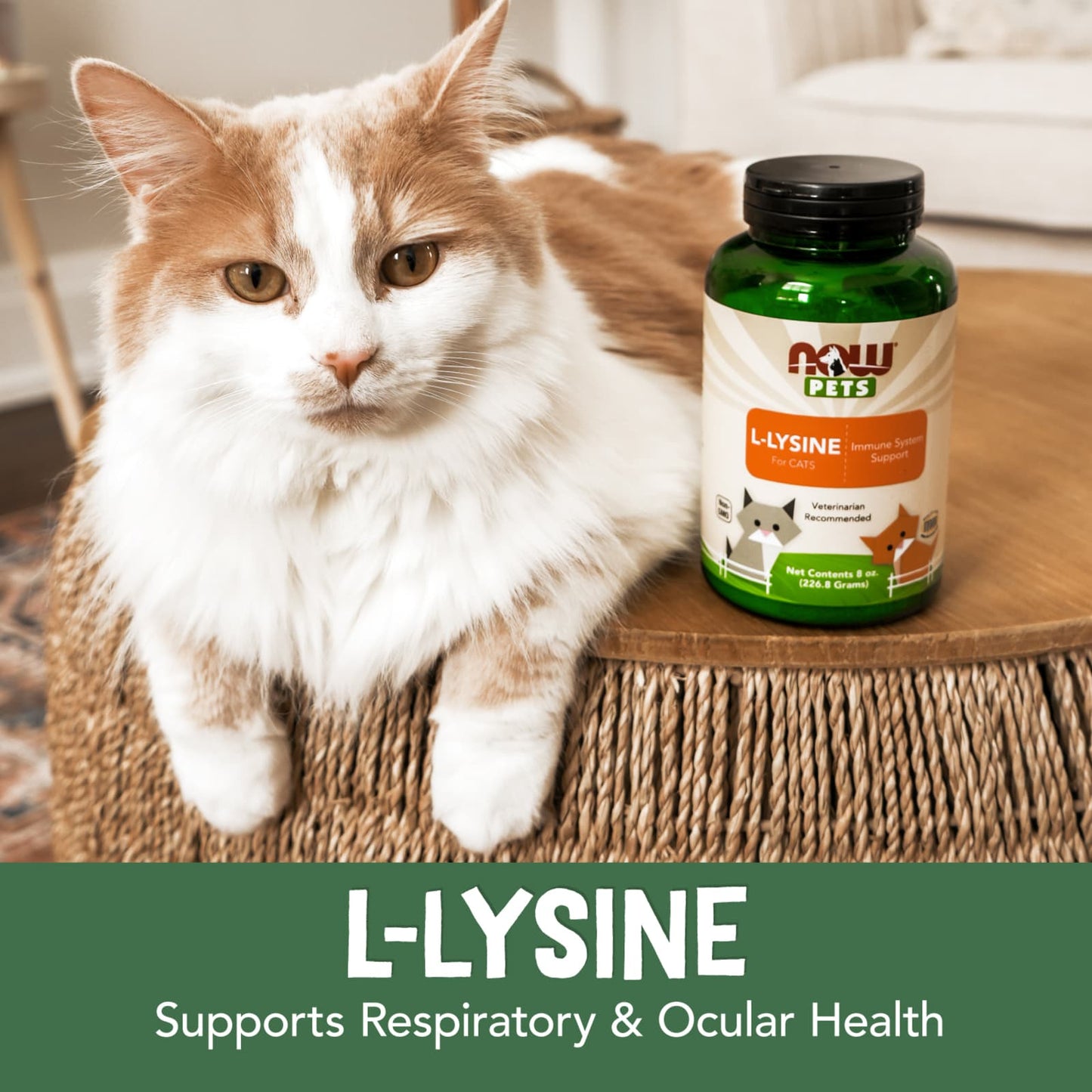 Pets, L-Lysine for Cats - 226g
