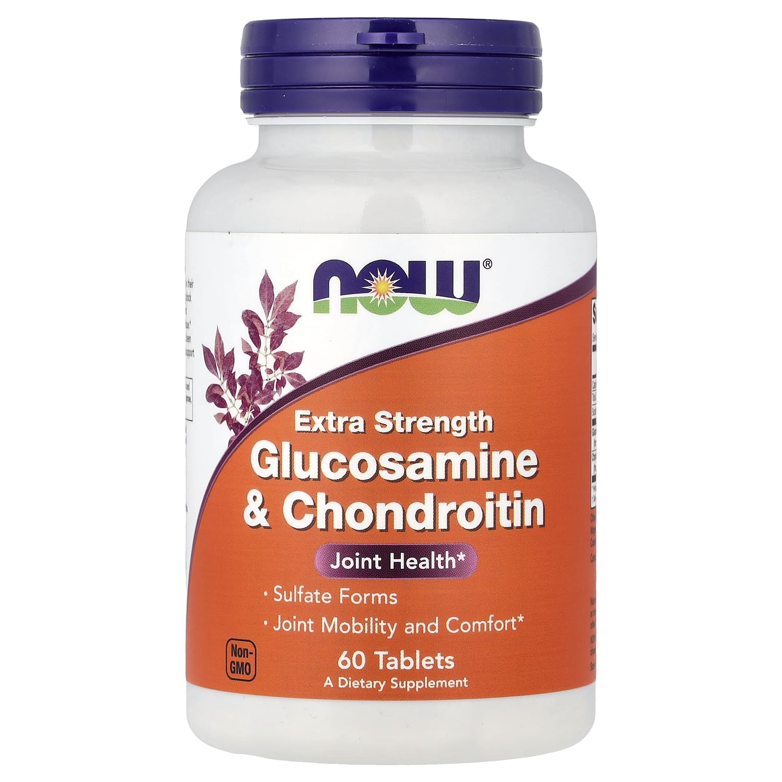 Glucosamine & Chondroitin Extra Strength - 60 tabs