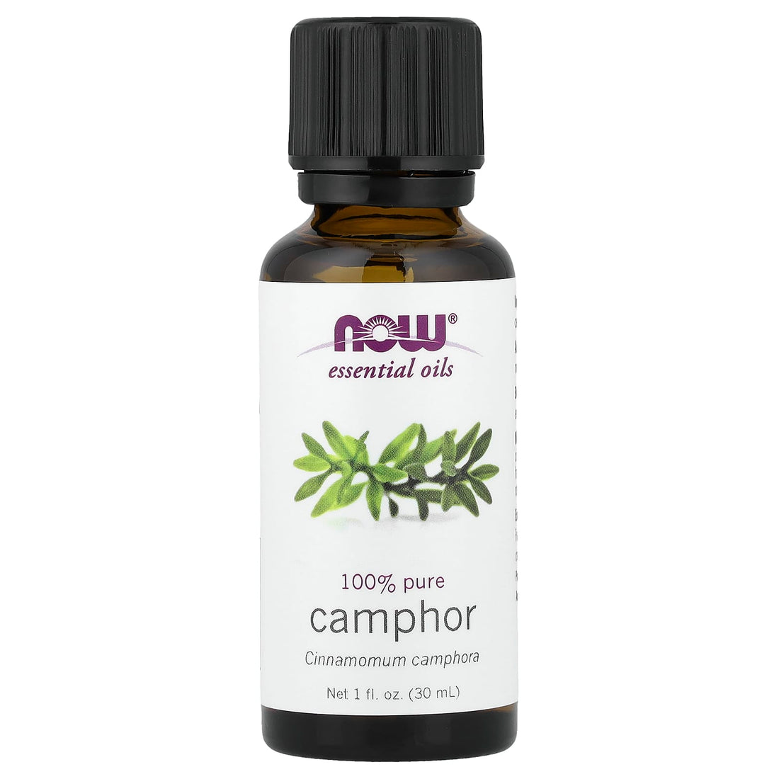 NOW Foods Essential Oil, Camphor Oil - 30 ml - image 2