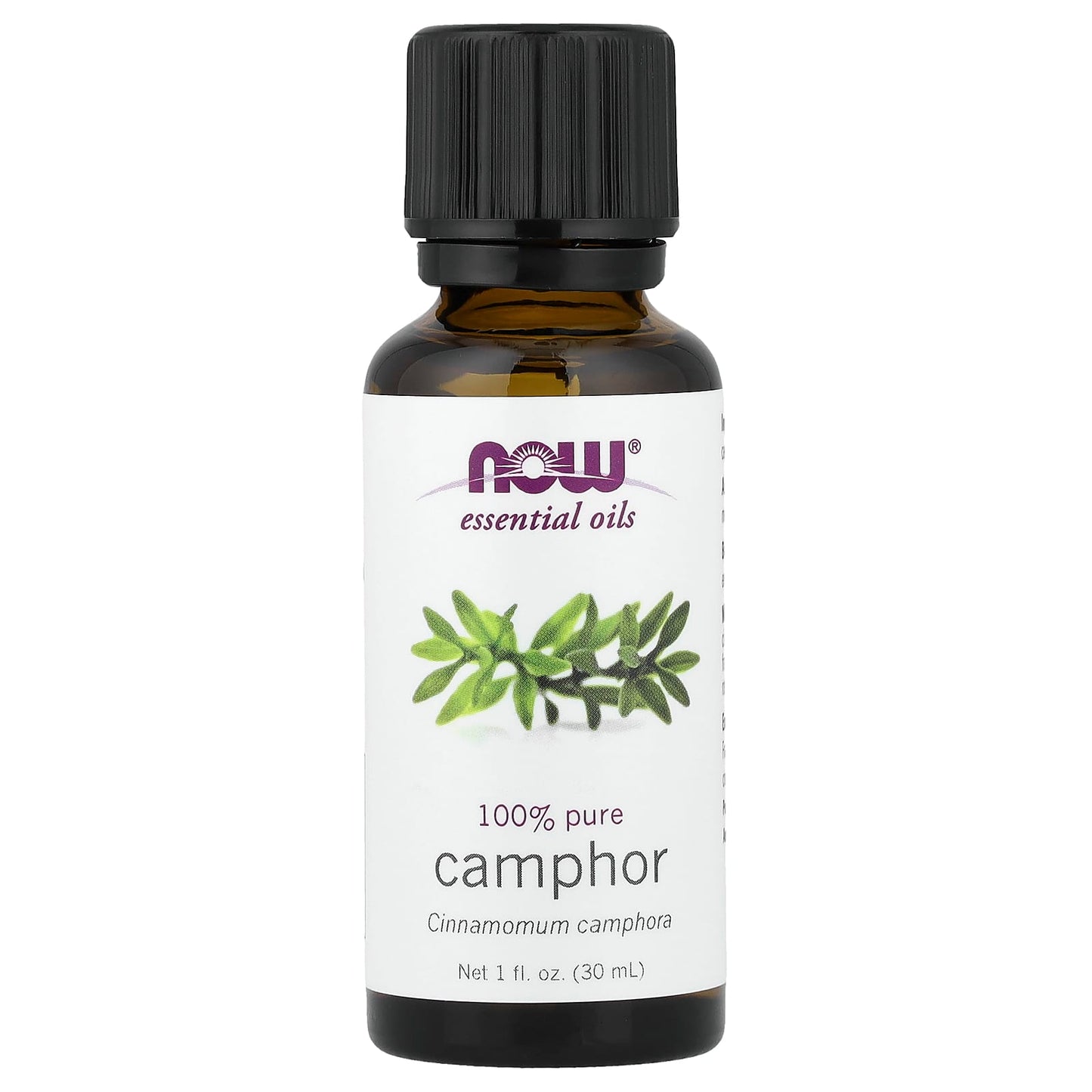 Essential Oil, Camphor Oil - 30 ml.