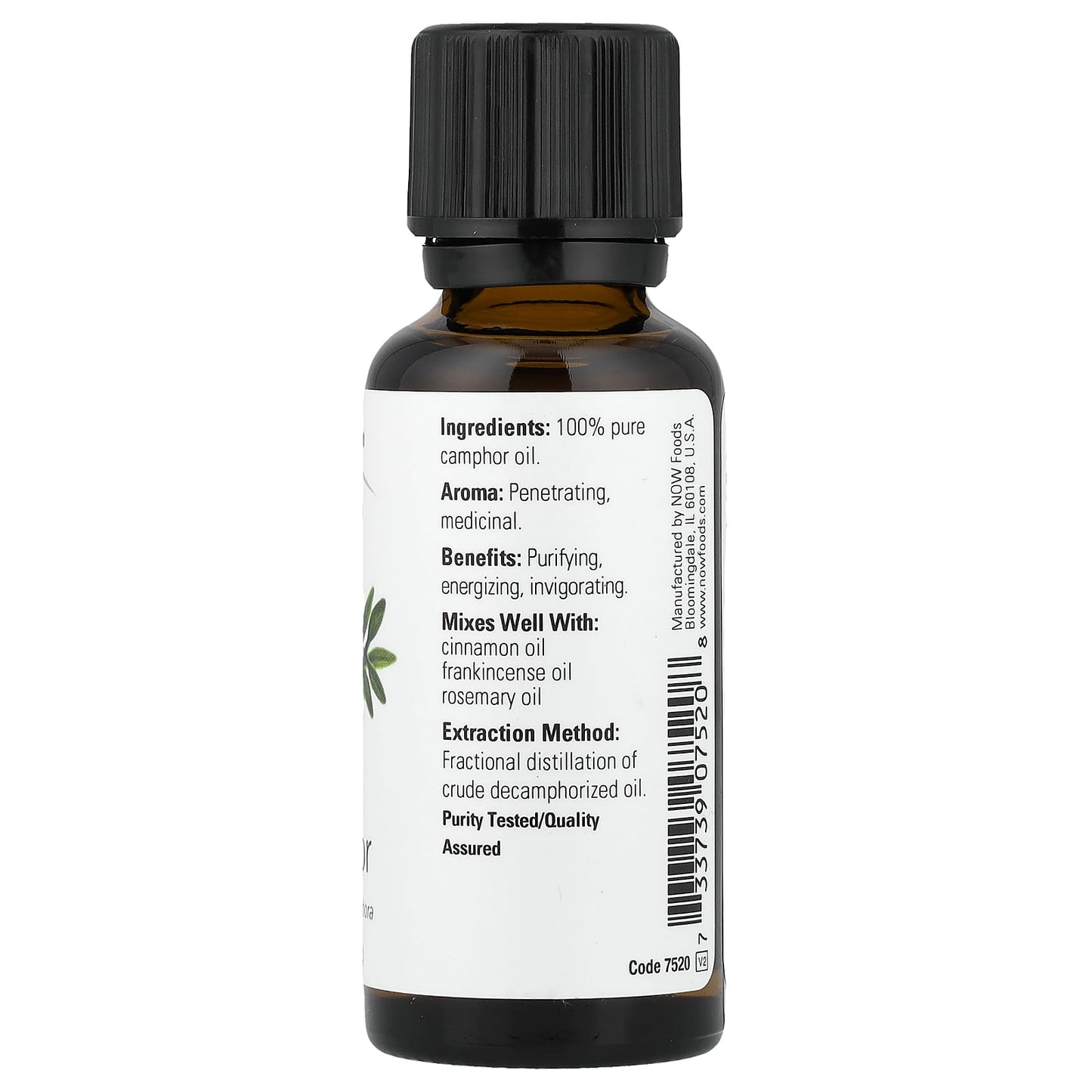 Essential Oil, Camphor Oil - 30 ml.