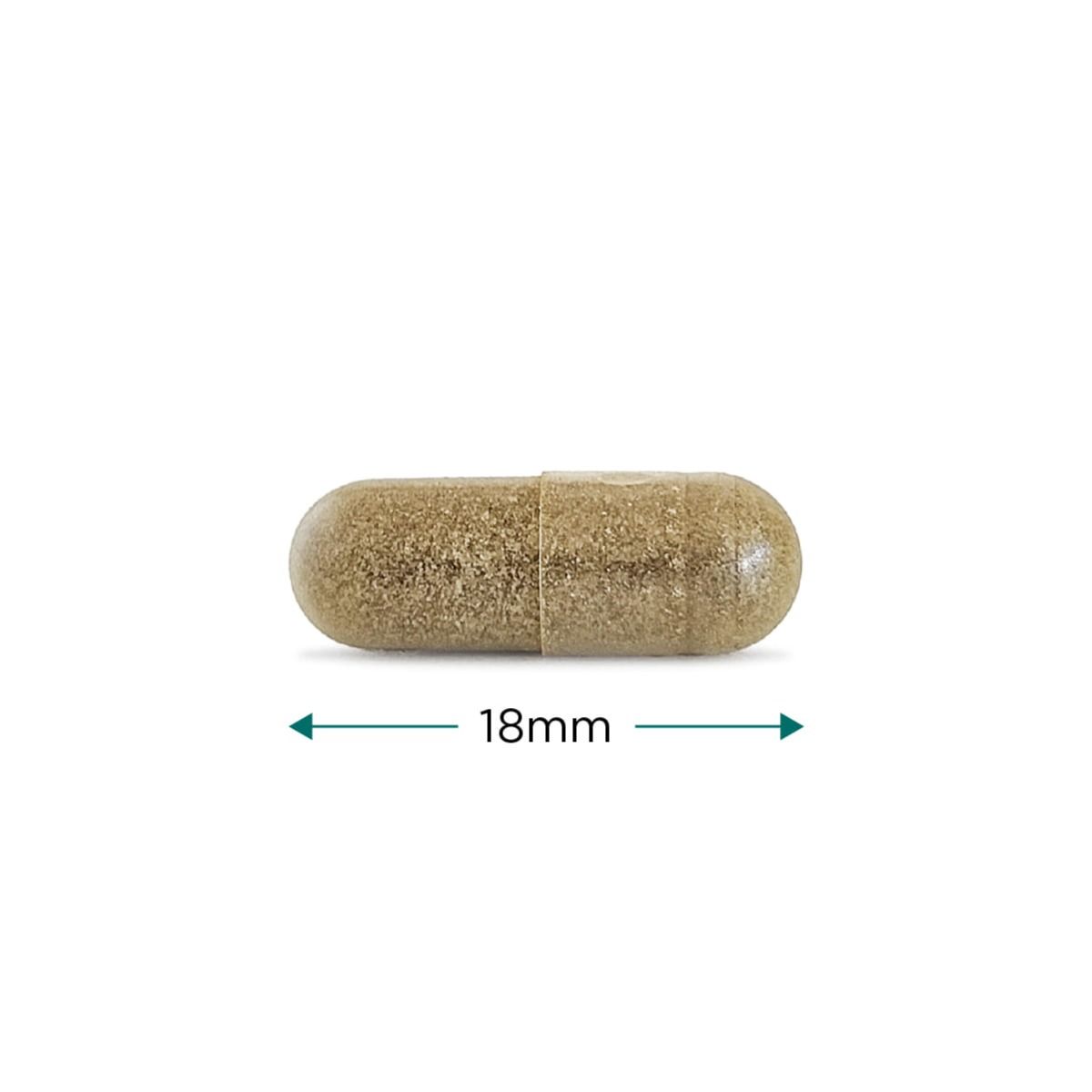 Gymnema Sylvestre - 60 vcaps