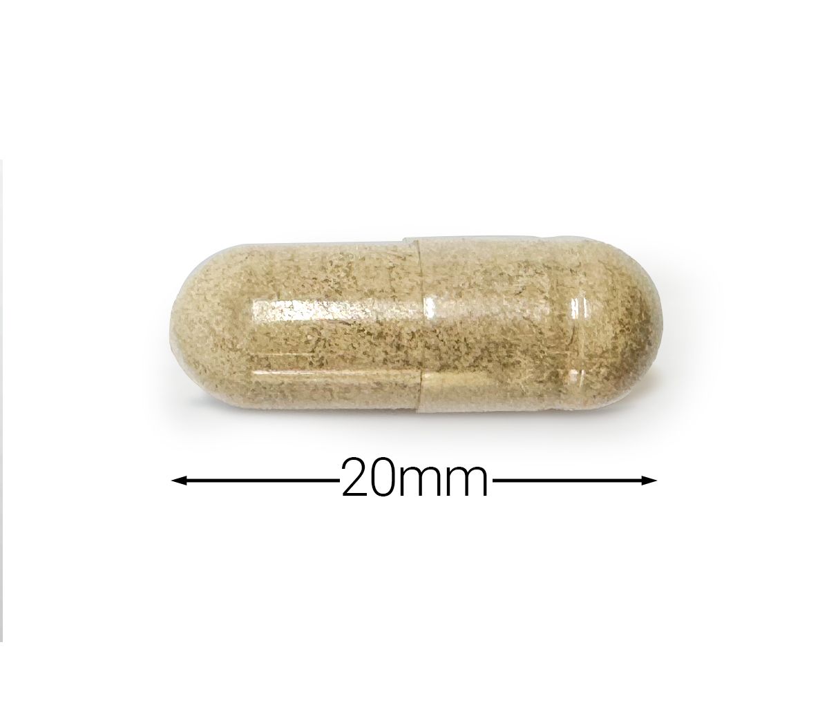 Lion's Mane - 60 vcaps