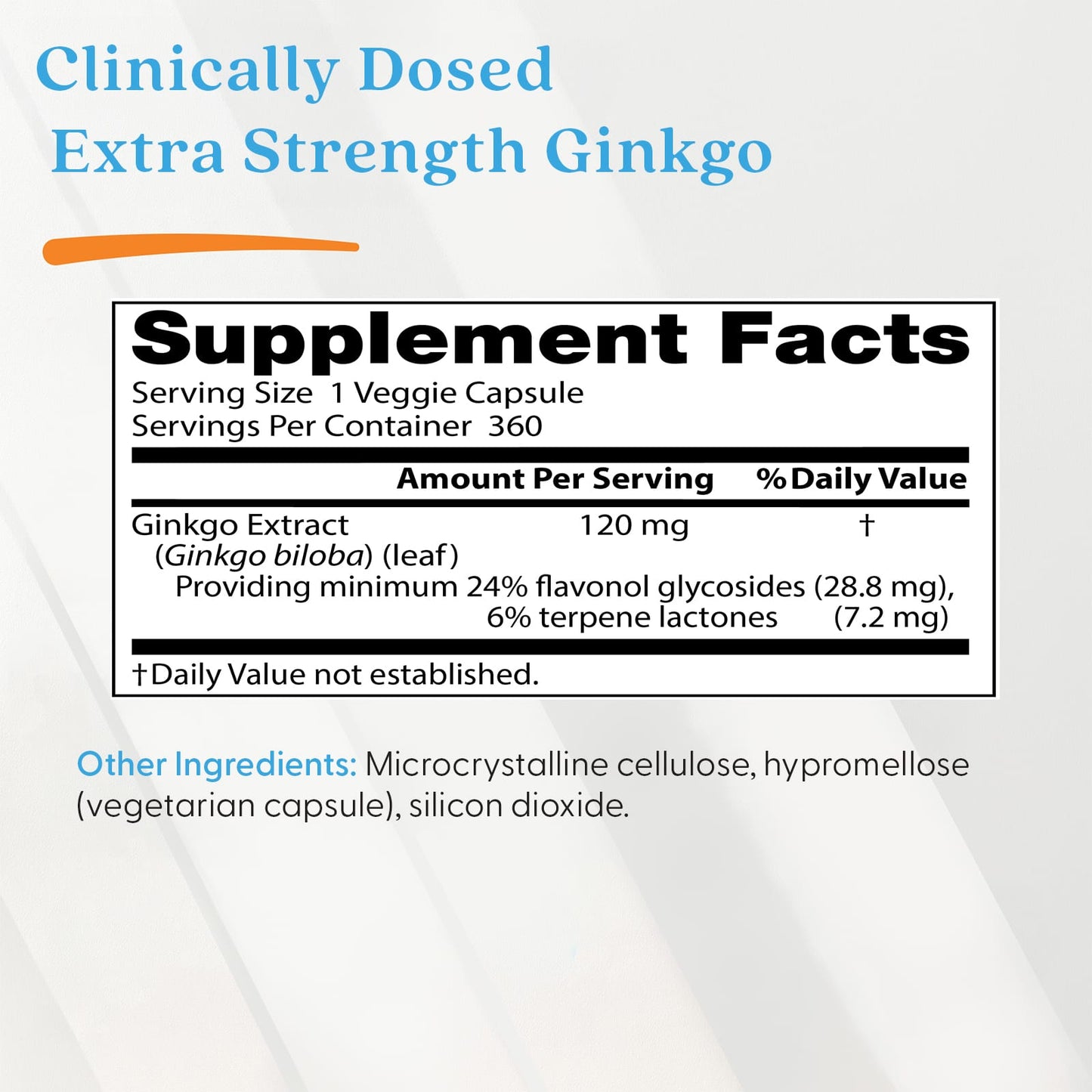 Extra Strength Ginkgo, 120mg - 120 vcaps