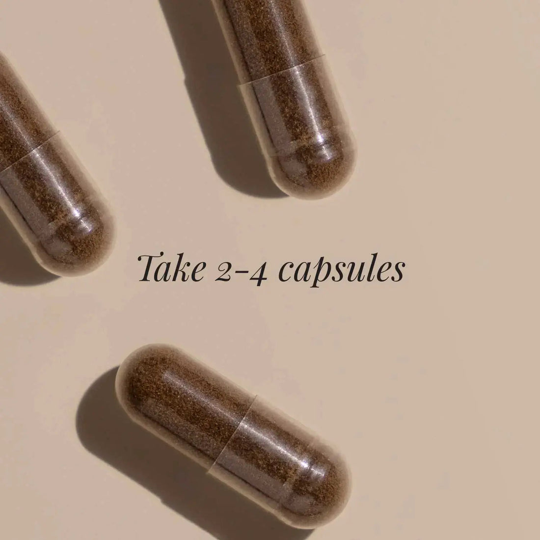 KIKI Health Chaga Extract, 380mg - 60 vcaps - image 3
