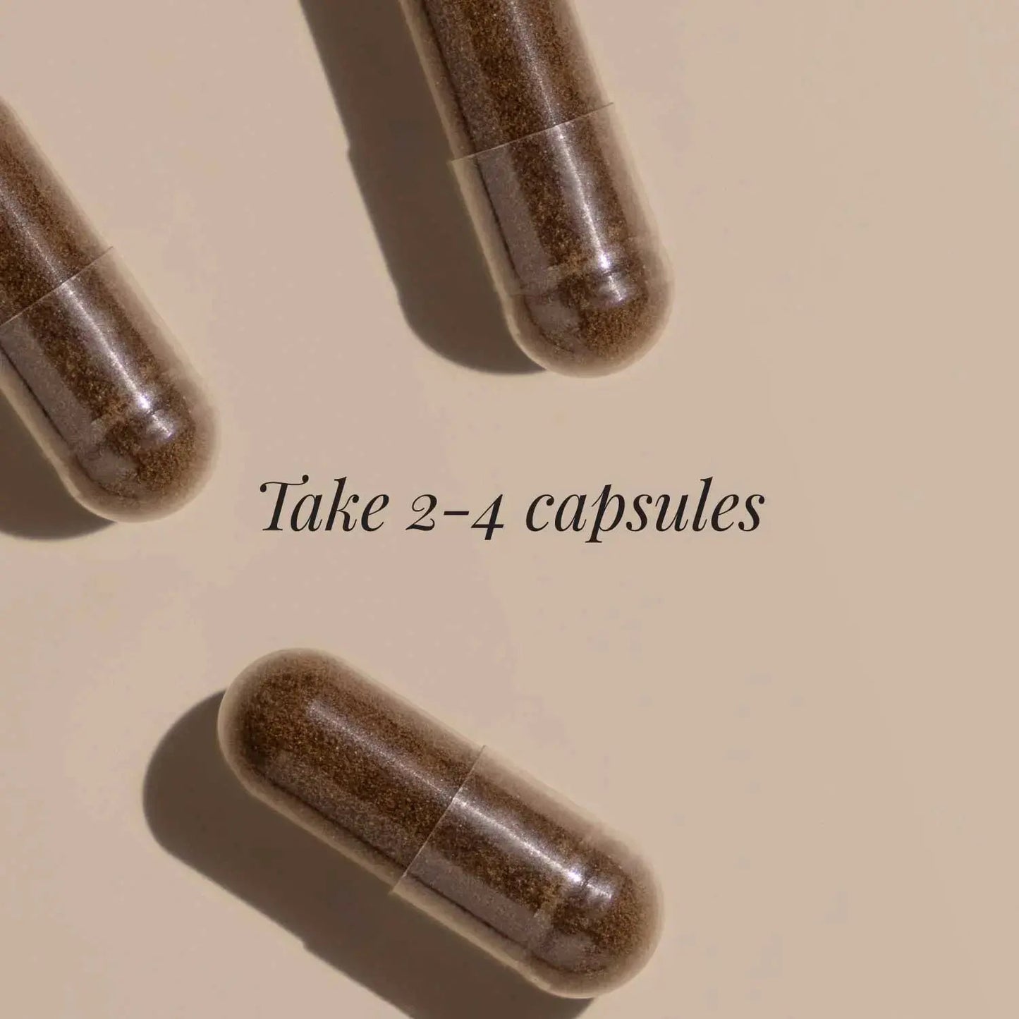 Chaga Extract, 380mg - 60 vcaps