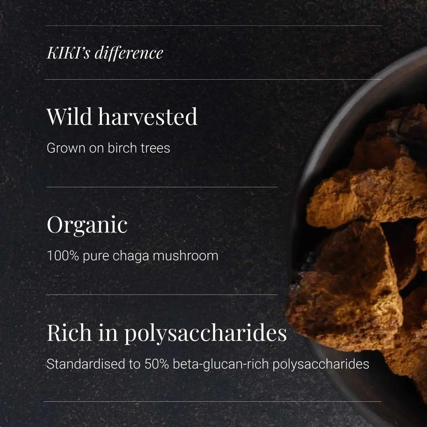 Chaga Extract, 380mg - 60 vcaps