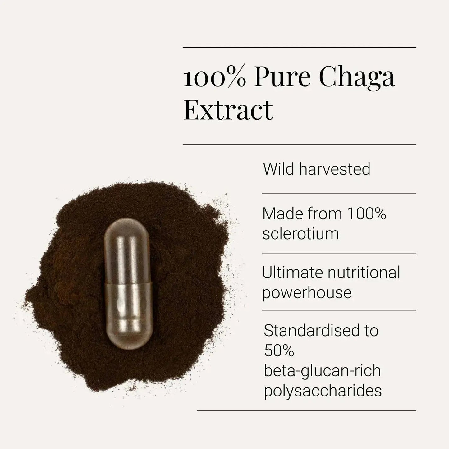 Chaga Extract, 380mg - 60 vcaps