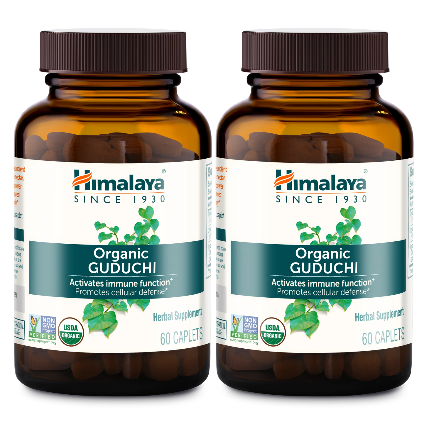Organic Guduchi