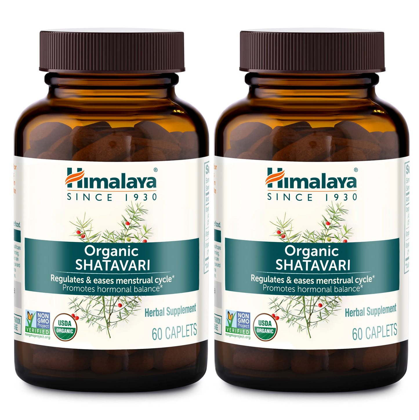 Organic Shatavari