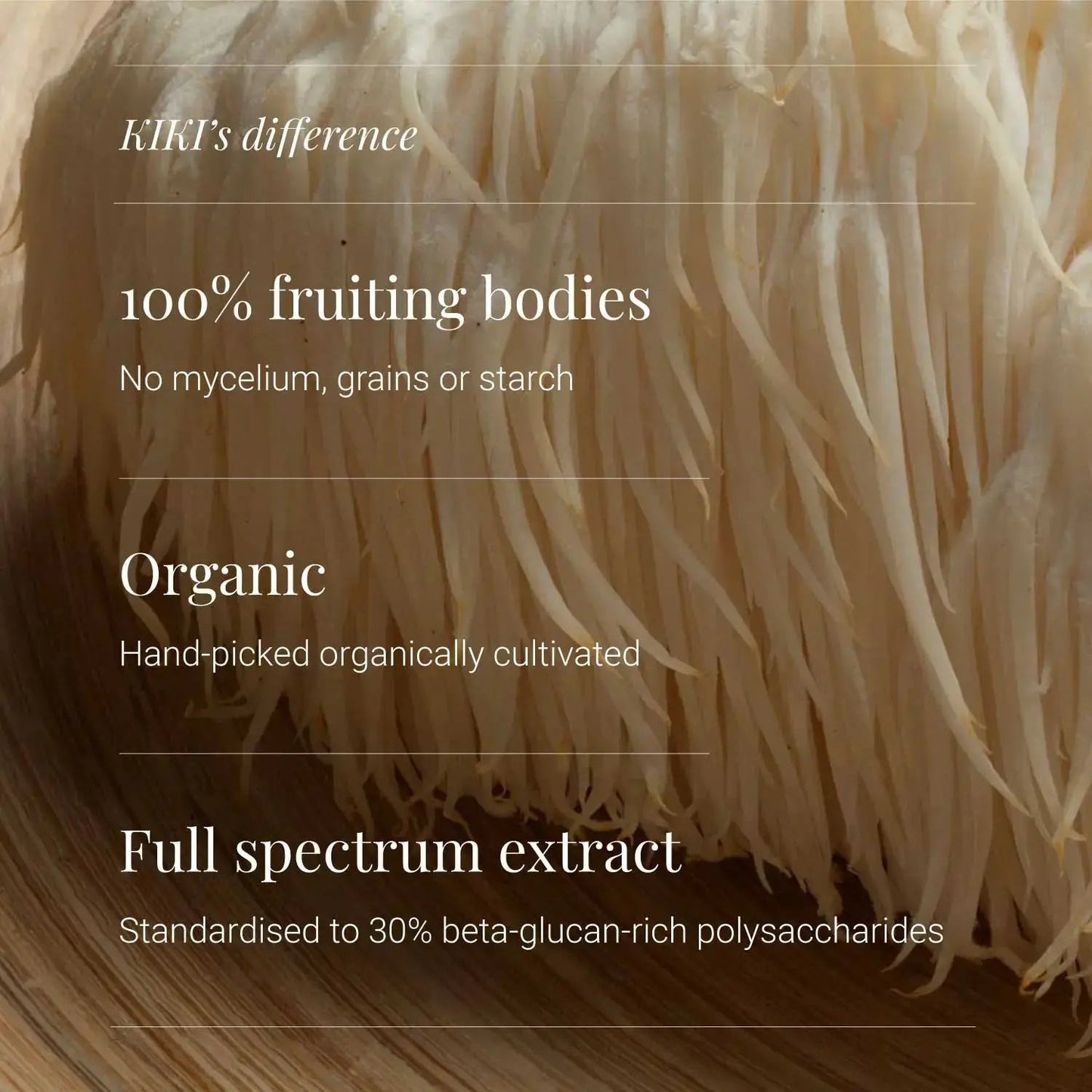 Lion's Mane Extract - 50g