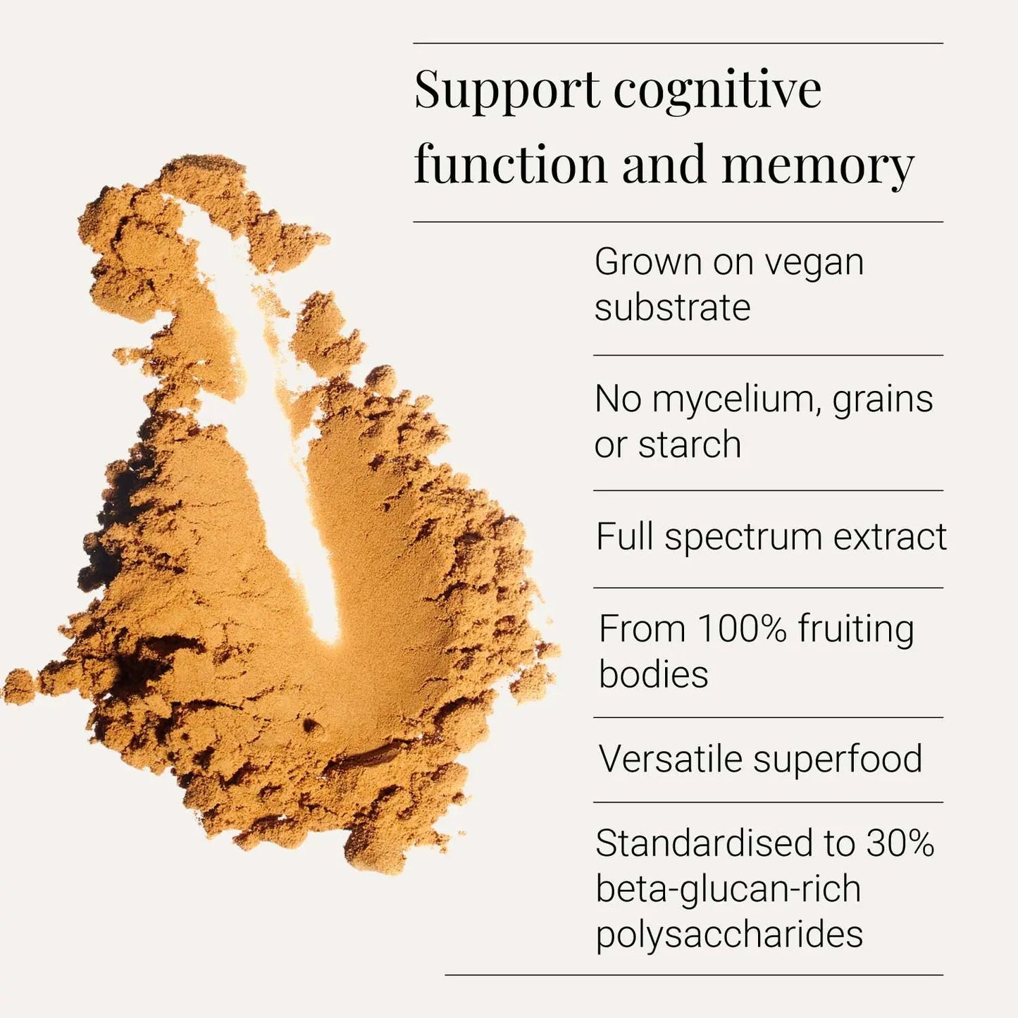 Lion's Mane Extract - 50g