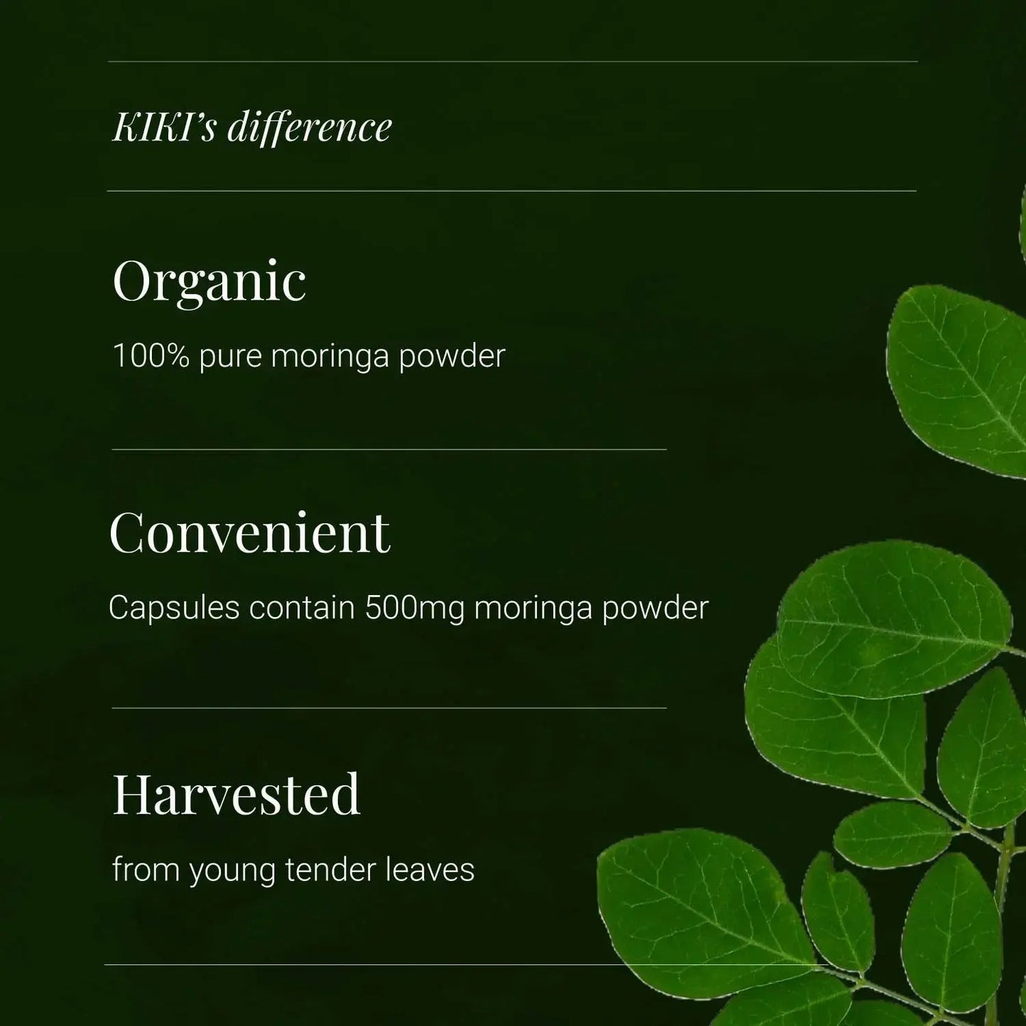 Moringa Leaf - 120 vcaps