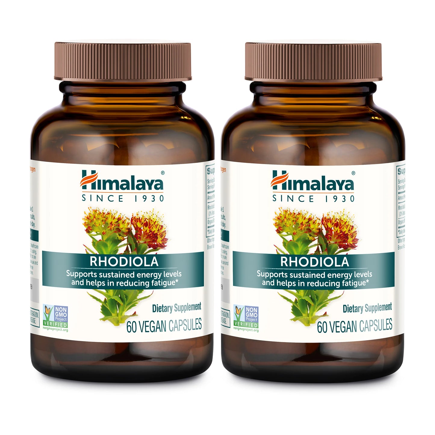 Rhodiola