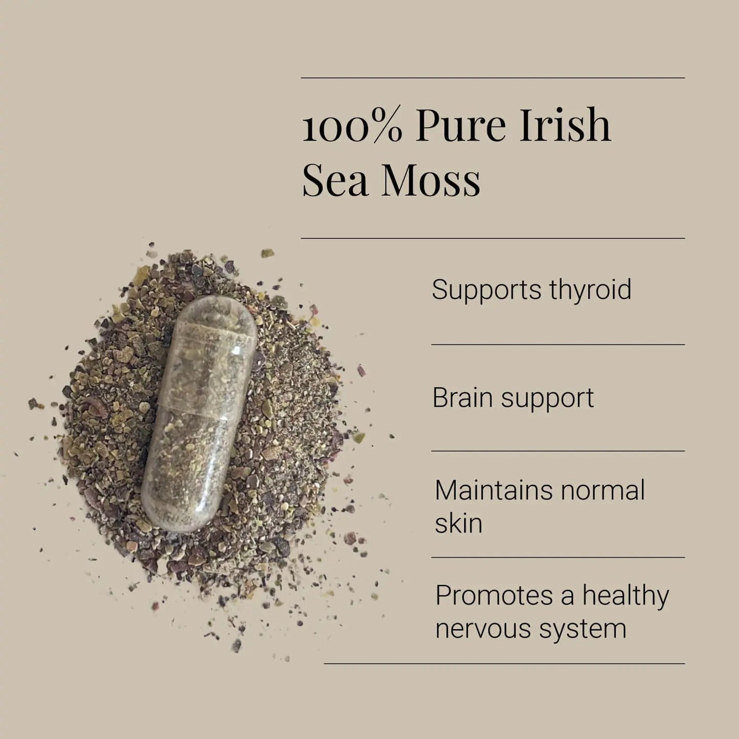 Sea Moss, 500mg - 90 caps