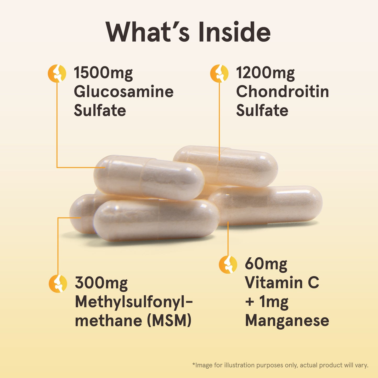 Glucosamine + Chondroitin + MSM - 120 caps