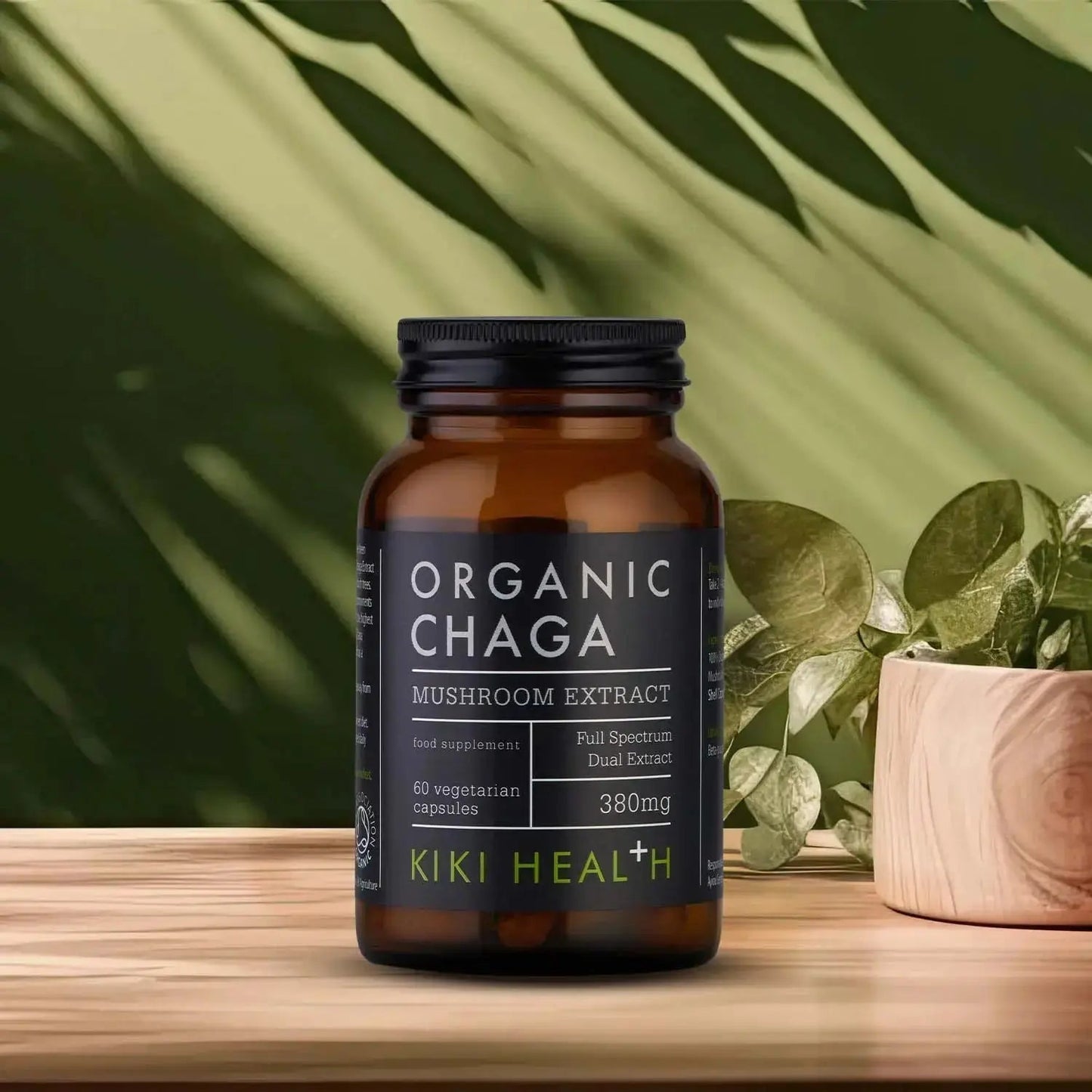 Chaga Extract, 380mg - 60 vcaps