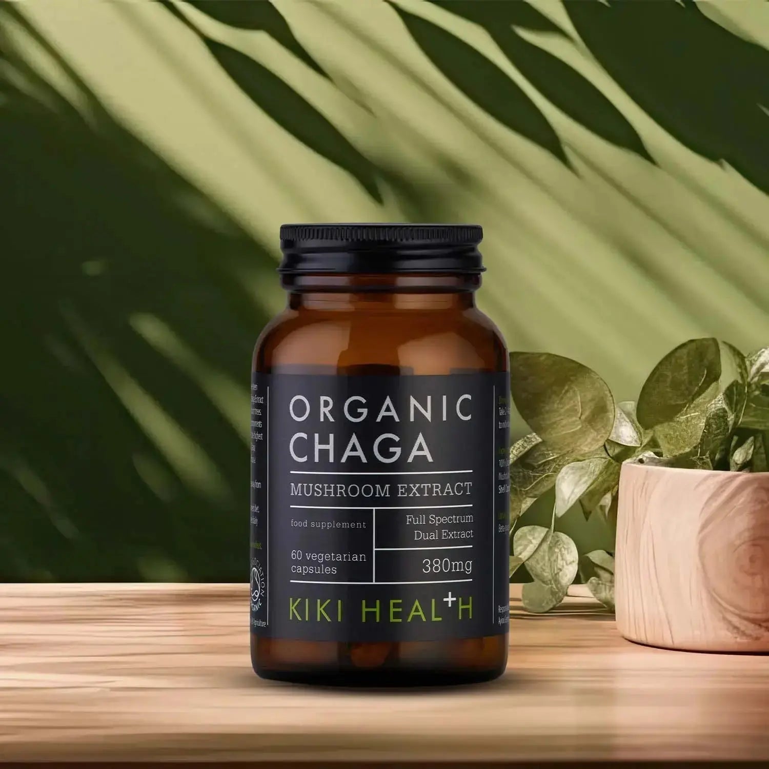 Chaga Extract, 380mg - 60 vcaps
