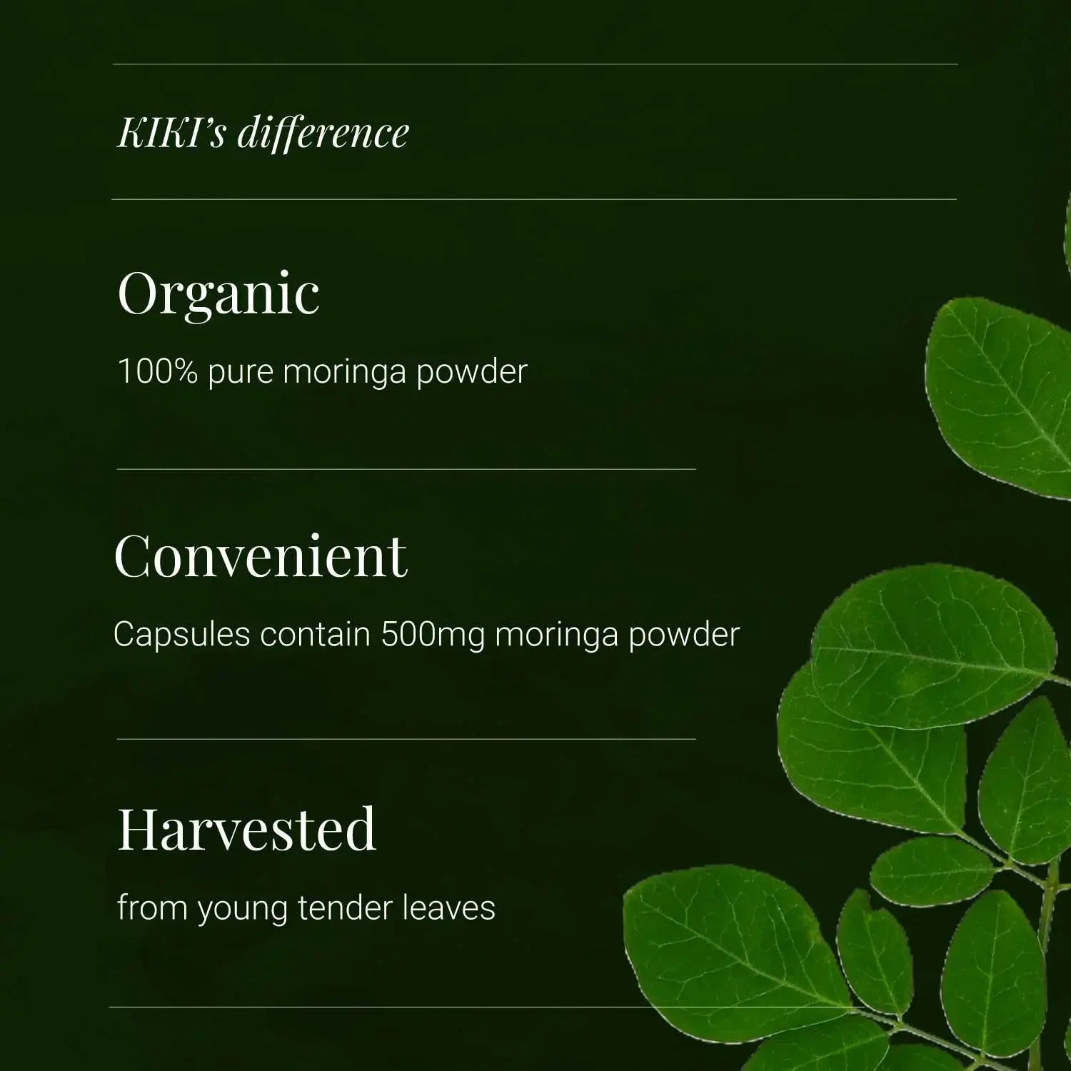 Moringa Leaf - 120 vcaps