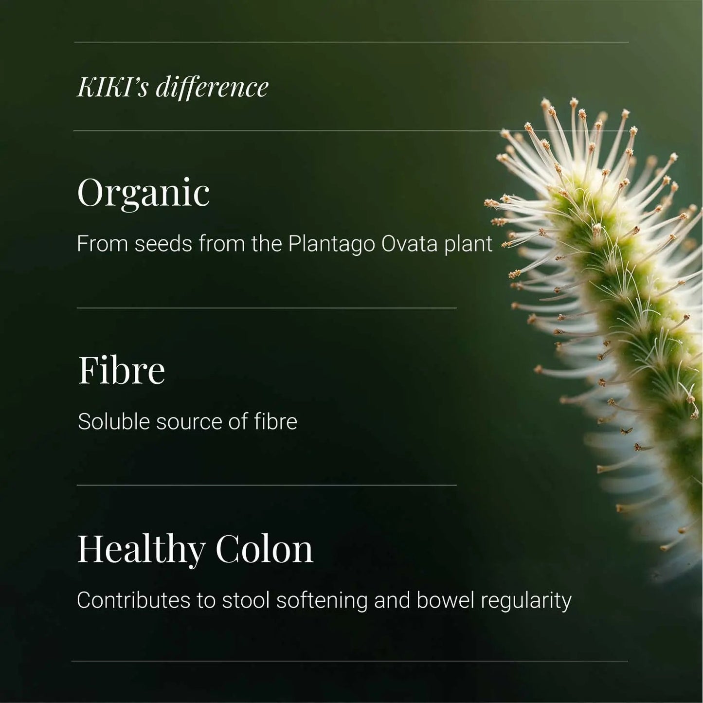 Psyllium Husks - 120 vcaps