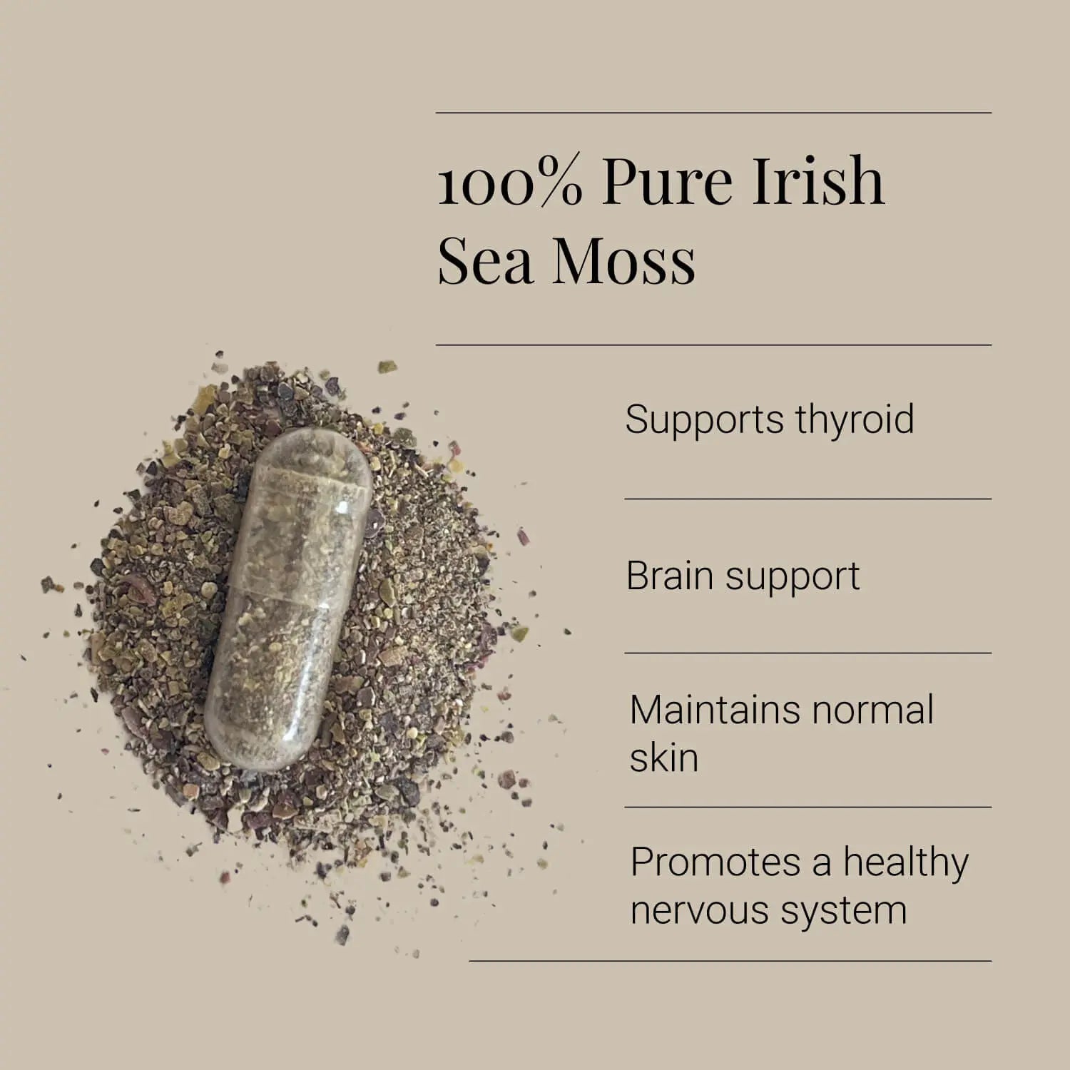 Sea Moss, 500mg - 90 caps